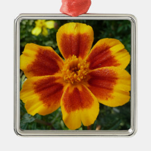 Disco Marigold Orange and Red Summer Blume Silbernes Ornament