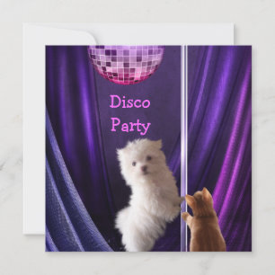 Disco-Party-Hund Katze Malteser Junggesellinnenabs Einladung