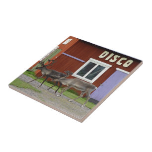 DISCO-ROTWILD FLIESE