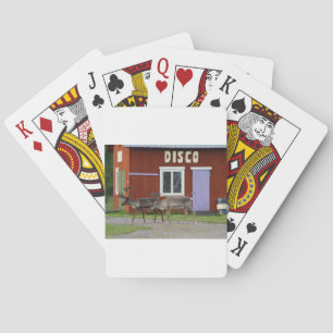 DISCO-ROTWILD SPIELKARTEN