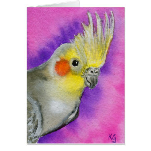 DiscoCockatiel