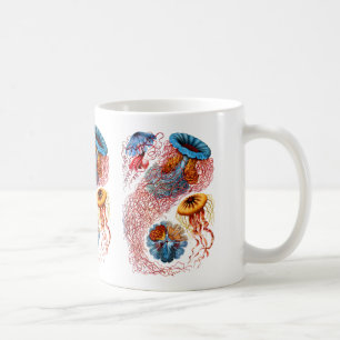 Discomedusae Kaffeetasse
