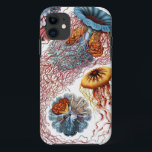 Discomedusae von Ernst Haeckel Case-Mate iPhone Hülle<br><div class="desc">Bitte besuchen Sie meinen Laden für mehr interessantes Design und mehr Farbwahl. =>     zazzle.com/colorfulworld*</div>