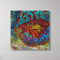 Discus Fish Stretched Canvas Print