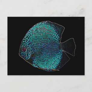 Discus Postcard Postkarte