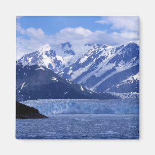 Disenchantment Bay und Hubbard-Gletscher, Magnet