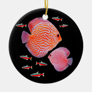 Diskus Kardinaltetras Aquarium Fischliebhaber Keramik Ornament