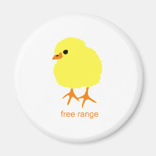 Distanzschiff Magnet