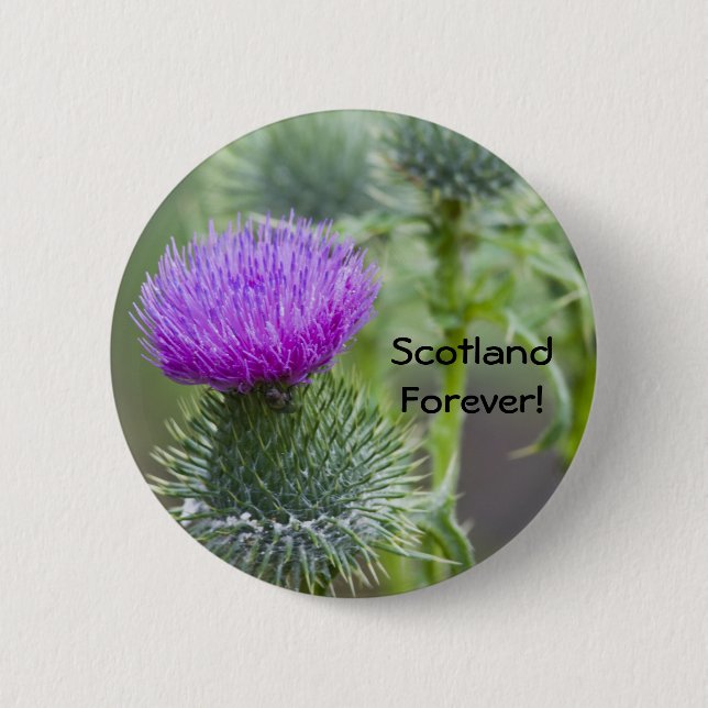 Distel Button (Vorderseite)