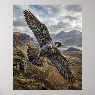 Distel Falke Hochland Himmel Poster