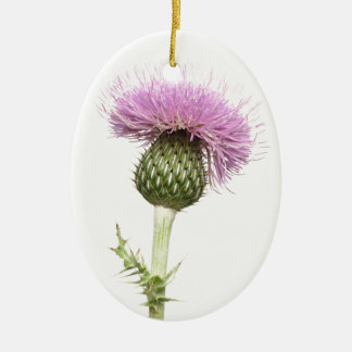 Distel Keramikornament