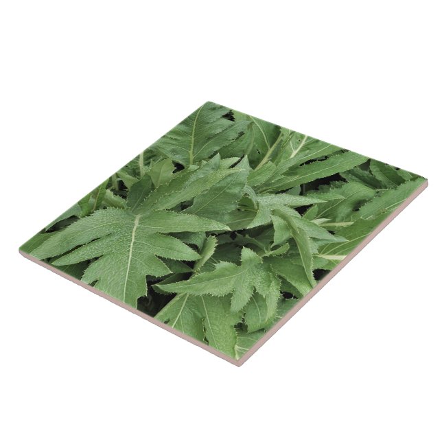 Distel-Laubwerk Fliese (Seite)