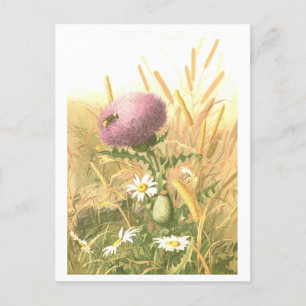 Distel-Postkarte mit Biene Postkarte