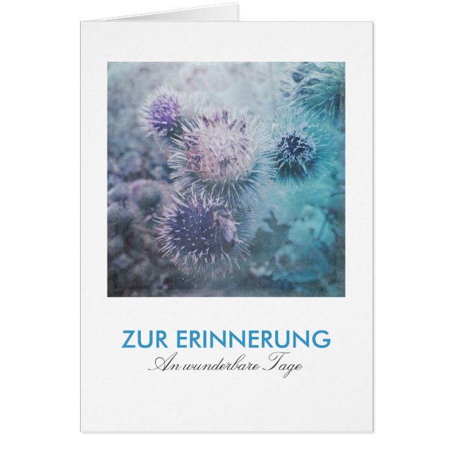 Distelblüten (Vorne)