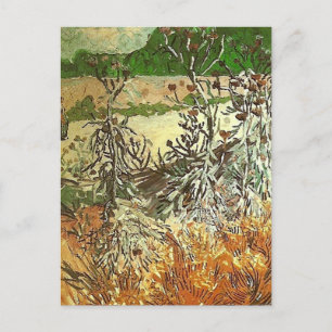 Disteln, Van Gogh Fine Art Postkarte