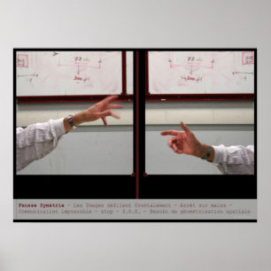 Distort Symmetry Fausse Symetrie Poster