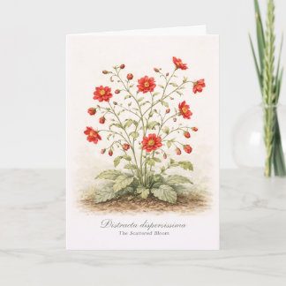 Distracta dispersissima - Die verstreute Blüte Karte
