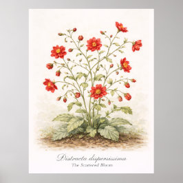 Distracta dispersissima - Die verstreute Blüte Poster