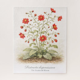 Distracta dispersissima - The Scattered Bloom Puzzle