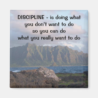 Disziplin Magnet