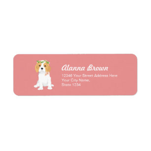 Dita The Blenheim Cavalier King Charles Spaniel