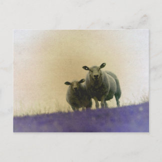 Dithmarschen Postkarte