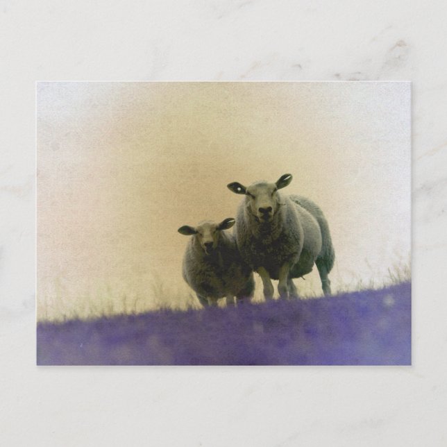 Dithmarschen Postkarte (Vorderseite)