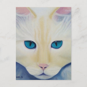 Ditto Postcard Postkarte