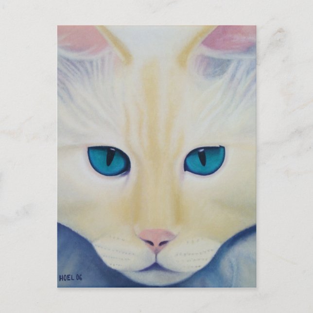 Ditto Postcard Postkarte (Vorderseite)