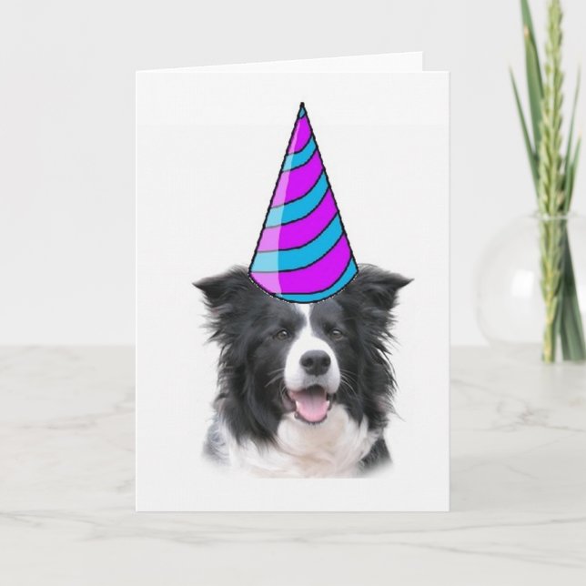 Ditzy Dogs~Greeting Card~Border Collie Birthday Karte (Vorderseite)