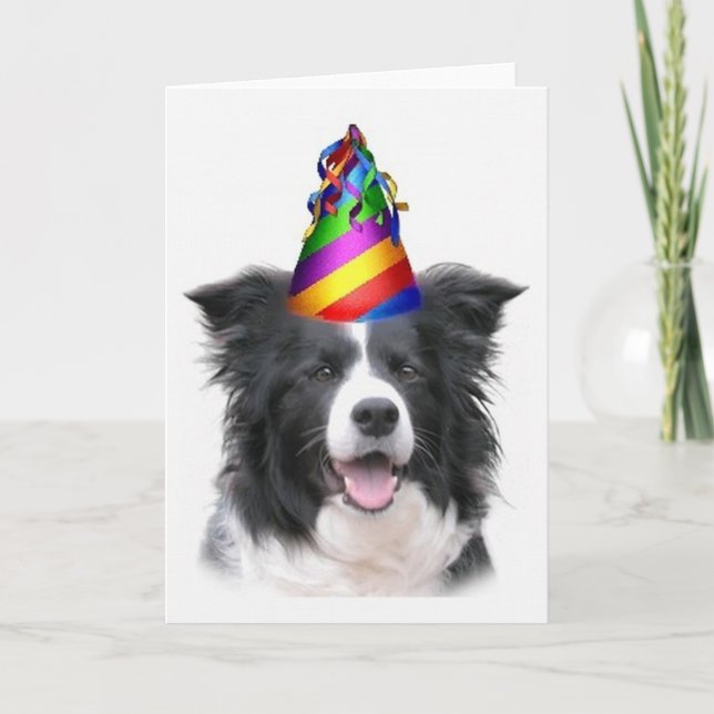 Ditzy Dogs~Original Notecard~Border Collie~B'day Karte (Vorderseite)