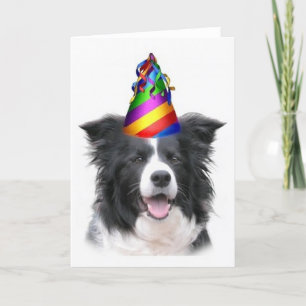 Ditzy Dogs~Original Notecard~Border Collie~B'day Karte