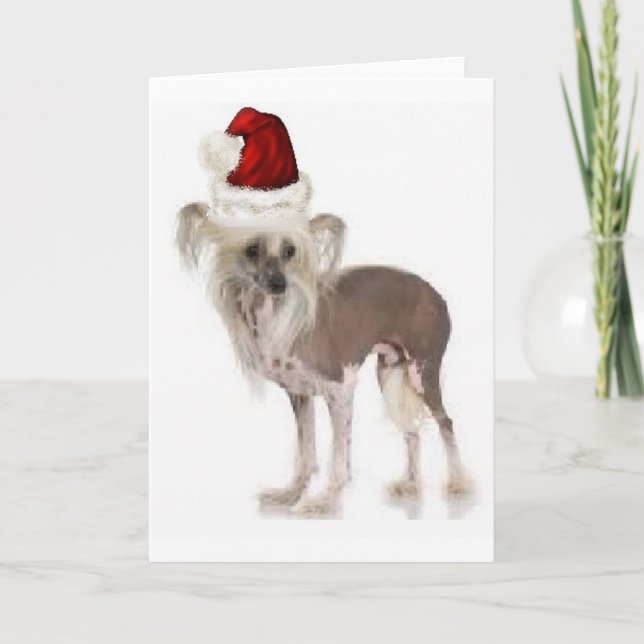 Ditzy Dogs~Original Notecard~Chinese Crested Karte (Vorderseite)