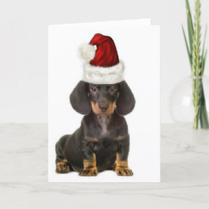 Ditzy Dogs~Original Notecard~Dackel Karte