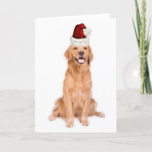 Ditzy Dogs~Original Notecard~Golden Retriever Feiertagskarte