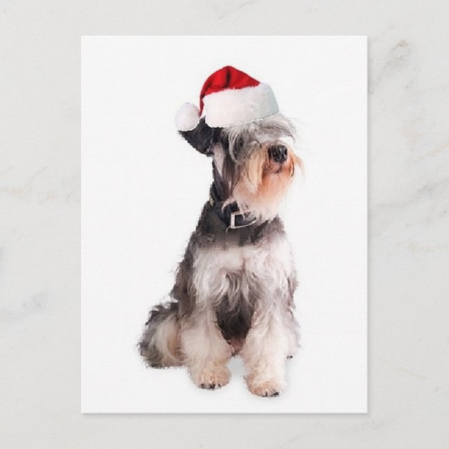 Ditzy Dogs~Original Postcard~Miniature Schnauzer Postkarte (Vorderseite)
