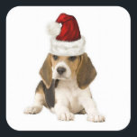 Ditzy Dogs~Original Sticker~Beagle~Christmas Quadratischer Aufkleber<br><div class="desc">Ditzy Dogs~Original Sticker~Beagle~Christmas</div>