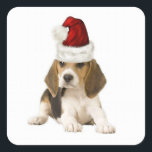 Ditzy Dogs~Original Sticker~Beagle~Christmas Quadratischer Aufkleber<br><div class="desc">Ditzy Dogs~Original Sticker~Beagle~Christmas</div>