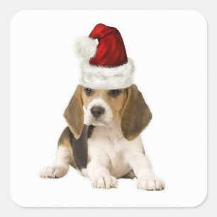 Ditzy Dogs~Original Sticker~Beagle~Christmas Quadratischer Aufkleber