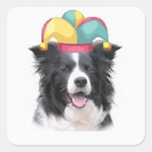 Ditzy Dogs~Original Sticker~Border Collie Quadratischer Aufkleber