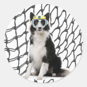 Ditzy Dogs~Original Sticker~Border Collie Runder Aufkleber