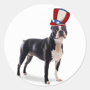 Ditzy Dogs~Original Sticker~Boston Terrier Runder Aufkleber