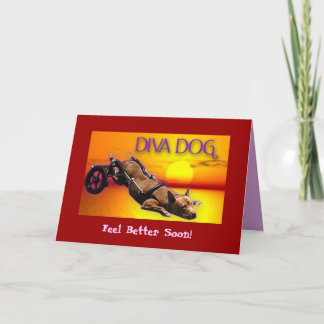 DIVA DOG "Feel better bald!" Grußkarte Karte
