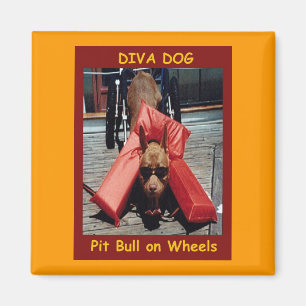 DIVA-HUNDChillin Kühlschrank-Magnet Magnet