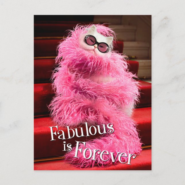 Diva White Cat Wrackte in Pink Boa auf Red Teppich Postkarte (Vorderseite)