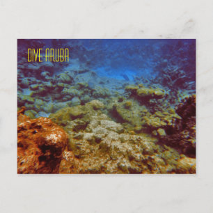 Dive Aruba Postkarten