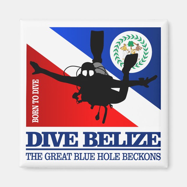 Dive Belize DF2 Magnet (Vorne)