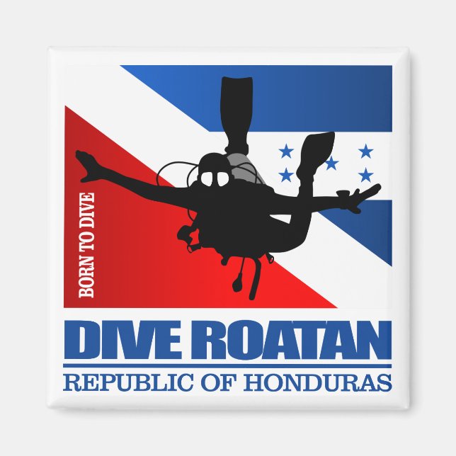 Dive Roatan DF2 Magnet (Vorne)