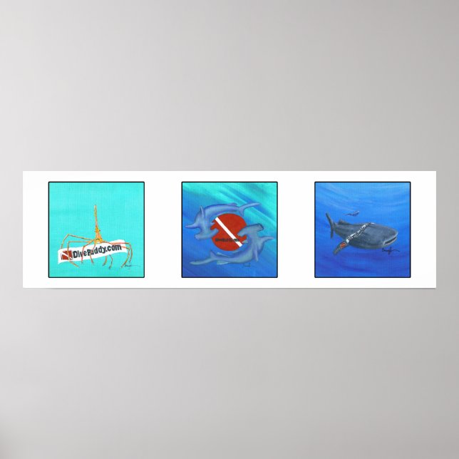 DiveBuddy.com Poster (Vorne)