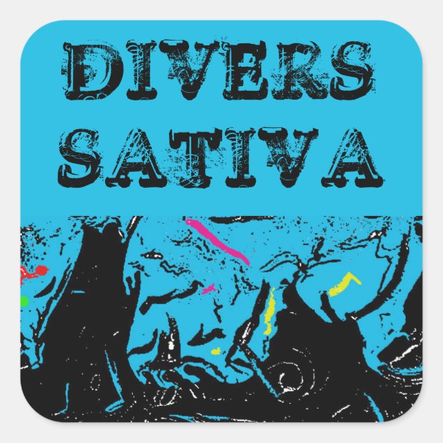 DIVERS SATIVA QUADRATISCHER AUFKLEBER (Vorderseite)